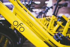 Bikes pictured from the bike sharing program Ofo.