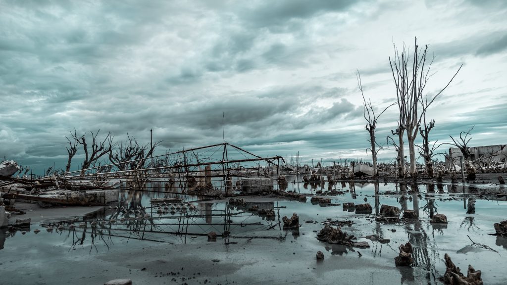 own with houses destroyed and metal roofs sitting on the ground of the swamp. the sky is grey and and so is the tone of the photo. the water on the ground is eerily still and reflects the world around